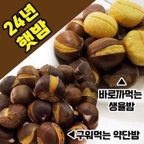 24년 명품 햇 생율(손쉽게 까먹는밤)