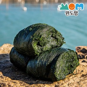 완도맘 완도 햇 매생이 급냉 100gx4팩 (400g), 4개