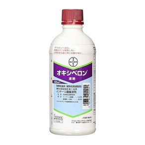 바이엘 크롭 사이언스 식물영양제 옥시베론 500ml, 1개