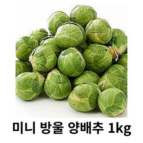 미니 양배추 500g 1kg 수입산 방울 양배추 꼬마 양배추 브뤼셀 스프라우트 감성 먹거리 다이어트 반찬 샐러드 미니야채 미니채소, 1박스