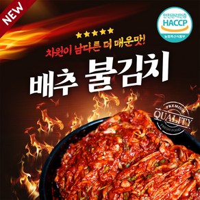 남다른농수산 전라도 매운 실비김치 불김치