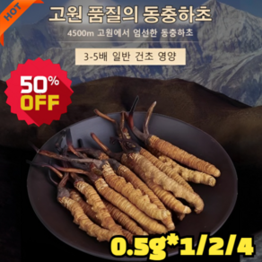 고급 동충하초 100% 유기농 동충하초, 0.5g