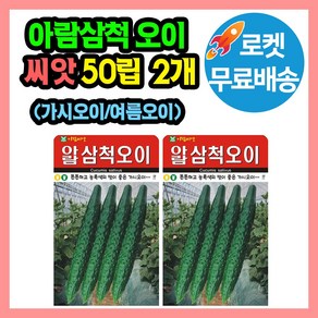 아람 삼척 오이 씨앗 (합100립) 오이종자 가시오이 여름오이 씨, 2개