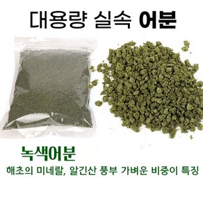 [낚시어때] 대용량 실속 어분 (벌크포장) 붕어낚시 떡밥 미끼, 1개, 녹색어분