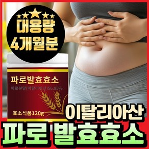 파로 효소 분말 이탈리아 파로 곡물 효소 고대곡물 엠머밀 가루 헬씨딜리버리, 2개, 120g