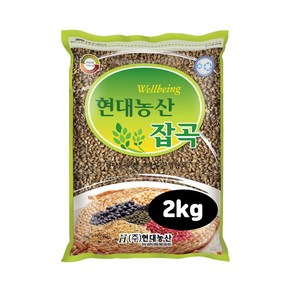 현대농산 국산 흑보리 2kg 검정보리, 1개