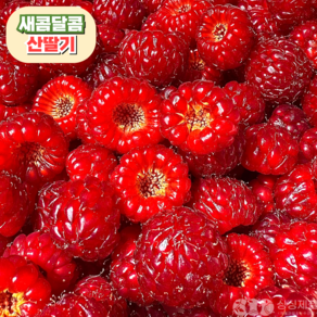 [산지직송] 새콤달콤 생 산딸기, 1개, 250g 1팩