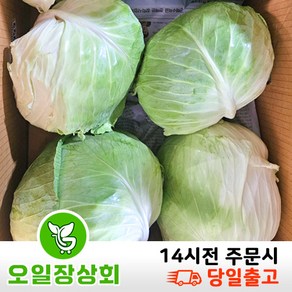 < 오일장상회> 국내산 양배추 6~7kg3수, 8kg, 1개