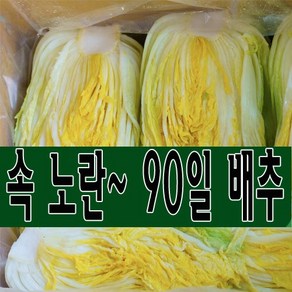 속 노란 90일 배추 괴산 절임배추 20kg (7-10포기) 도착일을 선택해주세요.