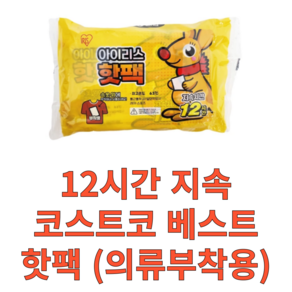 패피랑 코스트코 아이리스 의류 부착용 핫팩 40g, 60개