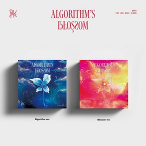 큐더블유이알 (QWER) - 미니앨범 2집 : Algoithm's Blossom [2종 중 1종 랜덤발송]