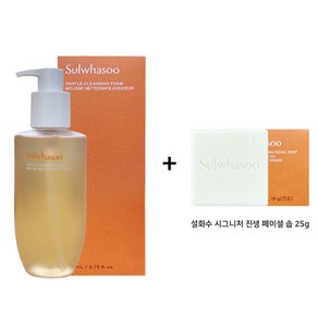 (< 최신 정품 2024 > ) 순행 클렌징폼 200ml 단품 + 시그니처 진생 솝 25g 증정, 1개