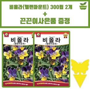 다농 비올라 씨앗 300립 삼색제비꽃 비올라 꽃씨 종자 2개+끈끈이 1P 증정, 1세트