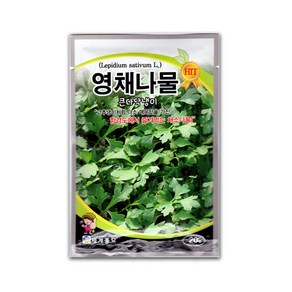 모칸도 세계 영채나물(큰다닥냉이) 씨앗 20g, 1개