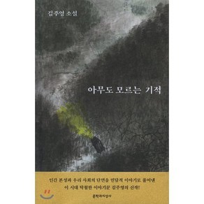 아무도 모르는 기적, 김주영 저, 문학과지성사