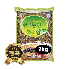 현대농산 국산 흑보리 2kg 검정보리, 1개