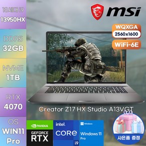 MSI (신제품) 노트북 크리에이터 Z17 HX Studio A13VGT WIN11PRO 업무용 가성비 노트북, WIN11 Po, 블랙, 1TB, 코어i9, 32GB