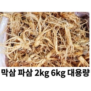 금산인삼시장 수삼 파삼 가정용 흠있는 1kg 못생긴인삼 막삼 대용량, 파삼1kg, 1개