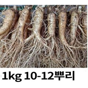 선물인삼 원삼 5년근 대사이즈 1kg 10-12 뿌리 (선물용 홍삼용 실속인삼) 금산, 금산인삼 1kg(10-12)1, 1개