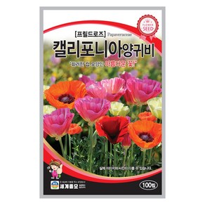 모칸도 (무배)세계 프릴드로즈 캘리포니아 양귀비 꽃씨 100립, 1개