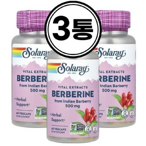 (3통) 솔라레이 베르베린 500mg 60 배지캡슐 고약사 약들약 매자나무 추출물 Solaay Bebeine, 3개, 60정