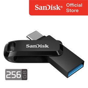 샌디스크 울트라 듀얼드라이브 고 USB Type C USB 메모리, 256GB, 1개