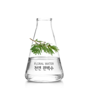 천연 편백수 원액 피톤치드 새집증후군천연화장품, 1L, 1개