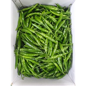 윤가네세자매 국내산 청양고추 500g/1kg/2kg/3kg/5kg/10kg, 청양고추_0.5kg, 1개