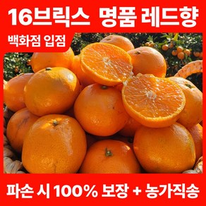 [16브릭스 초고당도] 바른마켓 백화점입점 프리미엄 제주 레드향 3kg 5kg 산지직송 당일수확 파손 100% 환불 보장 선물용 패키지, 8개