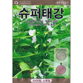 (씨앗) 슈퍼태강참깨 - 코팅참깨 - 외대깨 - 소분지 다수확 참깨 씨앗 종자 - 3천립, 1개