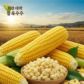 [백화점납품] 괴산대학 찰옥수수 삶은 냉동 18bix, 1박스, 9개