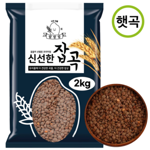 [쌀쌀쌀] 캐나다산 햇 브라운 렌틸콩, 1개, 2kg