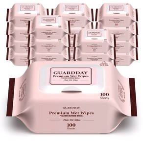 가드데이 프리미엄 정제수 휴대용 물티슈 캡형, 230g, 100매입, 20개