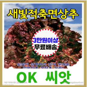 [OK씨앗] [새빛적축면상추(봄 여름 가을)] 상추씨앗 종자(오케이씨앗), 1개