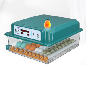 닭 부화기 자동 병아리 계란 달걀 메추리 키우기 220v, 옵션(1)220v 자동 부화기 6구, 1개