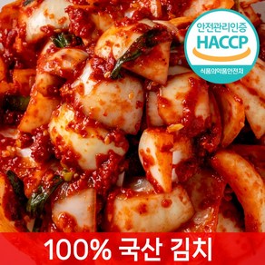[전라도찐맛] 당일제조 양파김치, 1개, 2kg