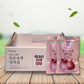 (전남생협)국내산 자연식품 자색양파즙 100ml x 30 60 90 120 팩, 60개