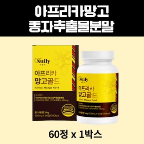 뉴일리 미국산 아프리카 망고골드 와일드 씨앗 종자추출물 분말 두달분 60정