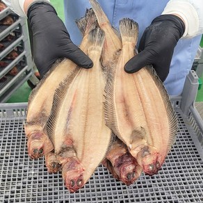 신선푸드] 청정 동해안 반건조 기름가자미 1kg, 1박스, 대(5-7미)