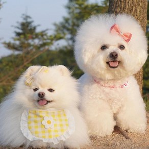 예보들 강아지 고양이 스카프 핸드메이드 턱받이 악세사리