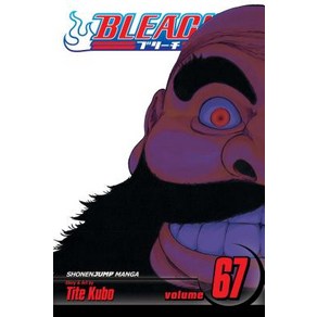 Bleach Vol. 67 Volume 67: Black Papeback, Viz Media