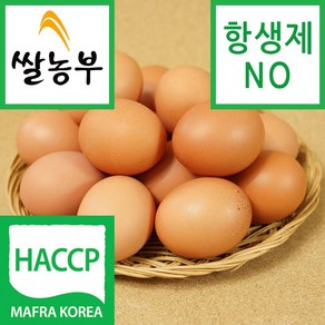 쌀농부 (국산) 계란(일반란) 10알 (행복한 닭이 낳은 계란 입니다), 1개, 10구