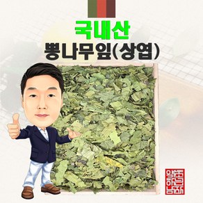 국내산 뽕나무잎(상엽) 300g/100g (경북 영천) 국산 뽕잎, 1개