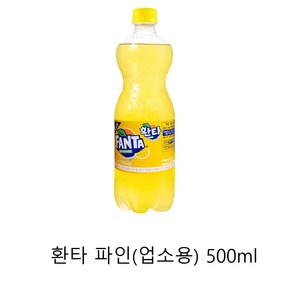 환타 업소용 500ml 파인애플 x 24PET, 24개