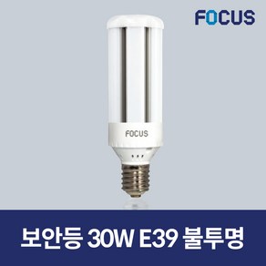 포커스 LED 보안등 파워램프 30W 불투명, 1개, 주광색