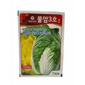 불암3호배추 2000립 [25년포장] 김장배추씨앗