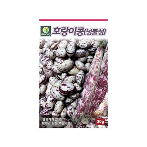 (DN) 호랑이강낭콩(넝쿨성) 씨앗(30g), 1개