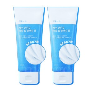 식물나라 제주탄산수 파워휩 클렌징폼 150mL+150ml, 150ml, 2개