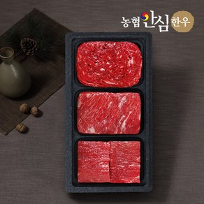 [농협안심한우] 1등급 감사정육세트 (불고기+국거리+장조림)/팩당400g/총1.2kg, 1개, 상세 설명 참조