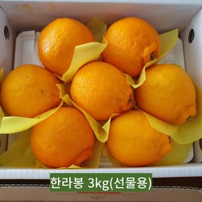 [국대과일촌] 제주 고당도 한라봉 명품 선물세트 가정용 벌크포장 3KG 5KG, 선물용, 1박스, 3kg 중과(11~16과)